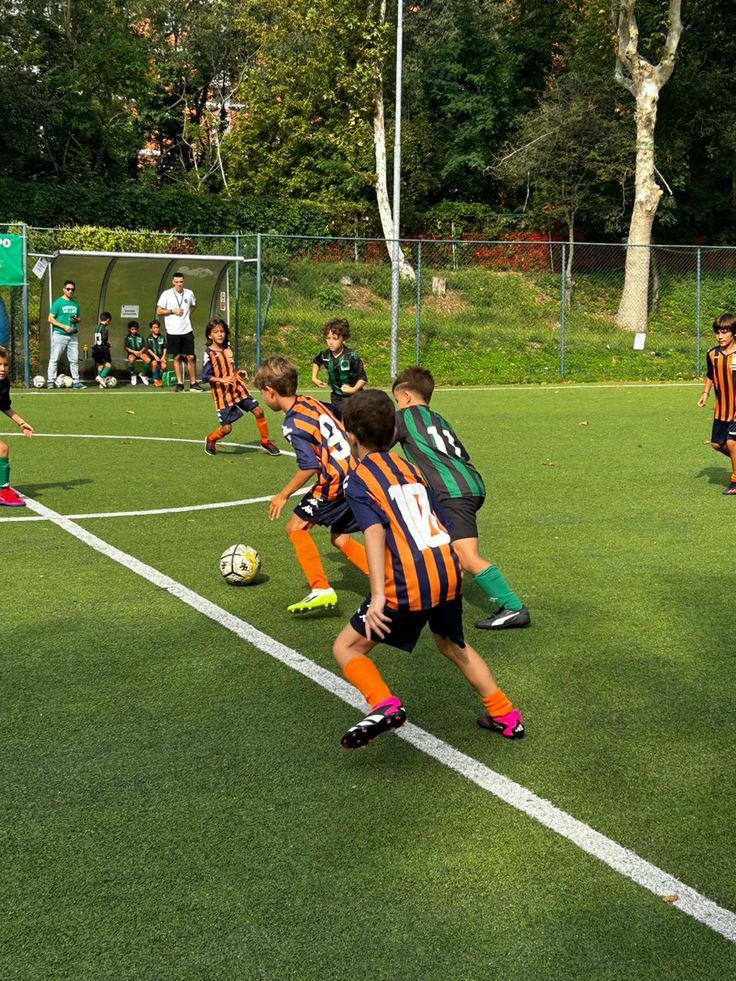 Società di calcio dilettantistico